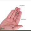 Zite Fishing Mini Wobbler Set - 10 Ultra-Light Artificial Bait