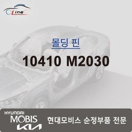 Hyundai Mobis Molding Pin 10410 M2030 / 몰딩 핀 10410 M2030