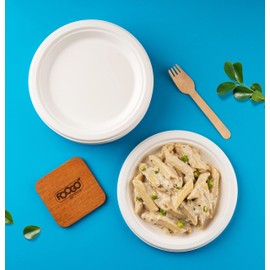 FOOGO Green 50 Disposable Sugarcane Bagasse Plates, 8 inch (20 cm), Medium Round Strong Paper Plates, Eco Friendly Biodegradable, Compostable Plates for Hot Food, Picnic Party Plates