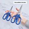 Misen Heavy Duty Kitchen Shears - Stainless Steel, Versatile and