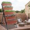 SEJOV Vertical Raised Garden Bed Stand Elevated Vegetables w/5 Container