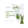 Champú Forever Living Aloe-Jojoba para Todo Tipo de Cabello