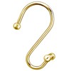 EleCharm 12PCS Gorgeous Gold Decorative Shower Curtain Hook Upgrade T