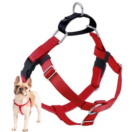 2 Hounds Design Freedom No Pull Dog Harness, Adjustable Harness, Easy Walking & Comfortable Control, Fits Small, Medium & Large Dogs, Solid Colors, Made in USA, 1" XXL, Red