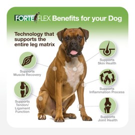 Forte Flex K9 Dog Chewable Hip and Joint Supplement - All Natural | Glucosamine, Chondroitin, Hyaluronic Acid, Collagen, Arto-Velox | Natural Anti-Inflammatory | Canine Joint Support