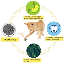 Diyxisk 3 Pcs Cat Toys,Catnip Toys for Cats Interactive Catnip Balls with Sticks & Feather for Cleaning Teeth, Cat Toys for Cats Kitten Relax and Healthy