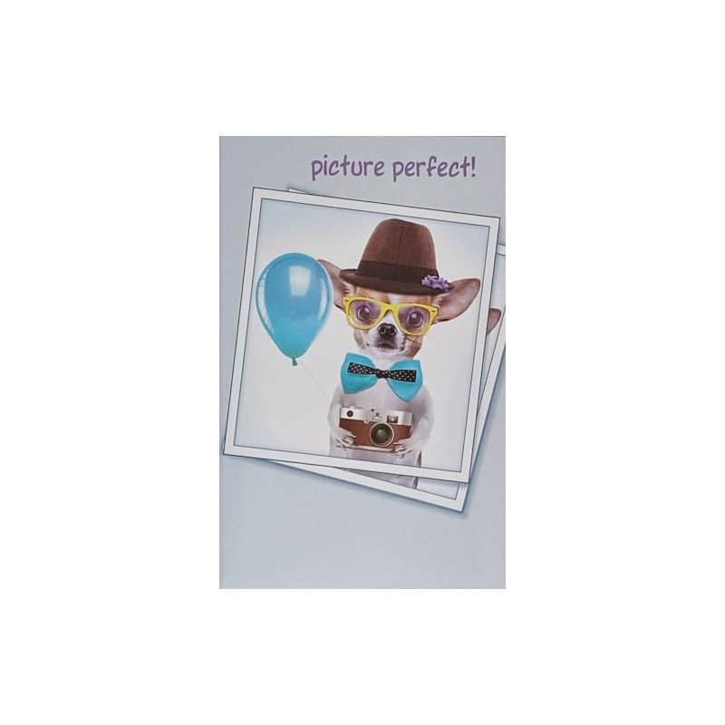 Greeting Card Hope Your Birthday Is Picture Perfect with Chihuahua