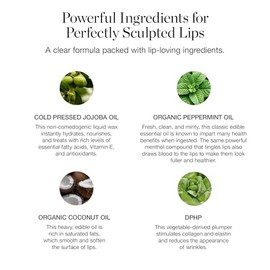 Ogee Sculpted Lip Oil â€" Organic & Natural Lip Primer, Moisturizer & Treatment Balm