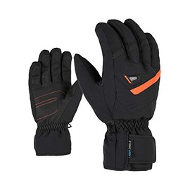 Ziener Gloves Gary Men's Ski Gloves One Size Black