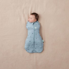 ergoPouch 3.5 TOG Cocoon Baby Sleep Sack 3-6 Months, Swaddle Sleeping Bag, Temperature Control Wearable Blanket (Dragonflies)