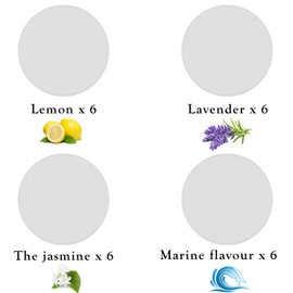 Maitys 24 Pcs Fragrance Discs Replacement Steam Mop Scent Disc Practical Fragrance Scented Pads Discs Compatible with Powerfresh and Symphony Series, Fits Model 1940, 1806 and 1132