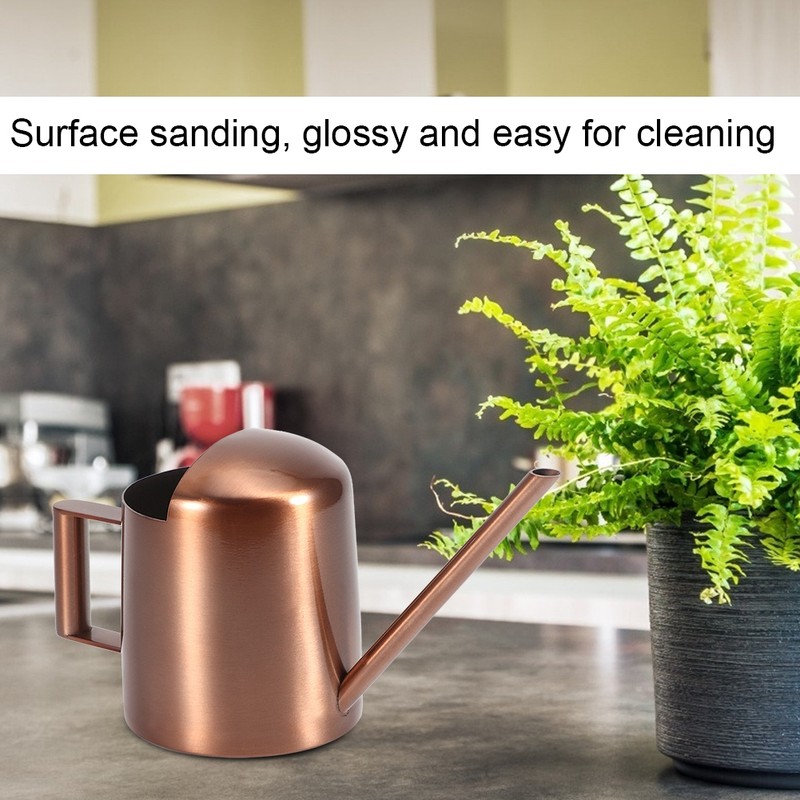 300ml Small Stainless Steel Watering Can Plant Flower Long Spout