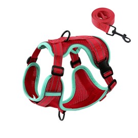 PAWDAY No-Pull Dog Harness with Dog Leash Breathable Mesh Adjustable Soft Padded Pet Vest Reflective for Small/Medium/Large Dogs Walking, Training