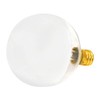 Bulbrite 25G16HM Half Chrome 25W Globe Shape Bulb