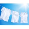 Mighty White Guard 12PK