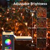Smart Net Lights Outdoor APP Programmable, 150 LEDs 4 x