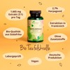 Organic Devil's Claw Capsules Vegavero®, 1,665 mg per daily dose,