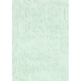 Eskent 1430231 Colored Drawing Paper, 26.7 lbs (130 kg), A4, Light Green Paper, 10 Sheets