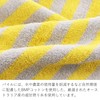 Tanaka Sangyo STRIPE HOLIC Imabari Towel Handkerchief, Made in Japan,