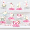 8Pcs Two Silly Goose Honeycomb Centerpieces Pink Goose 2nd Birthday
