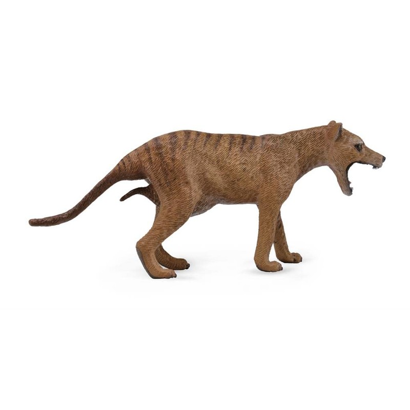 CollectA Thylacine (Tasmanian Tiger) Female