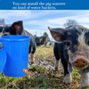 5 Pcs Automatic Pig Waterer Nipples Kit Auto Pig Watering