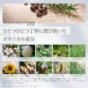 Pure Natural Botanical Smooth Care Shampoo Refill