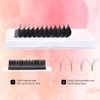 Eyelash Extension C Curl 0.1 8-15mm Mixed Tray Easy Fan