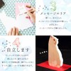 jetoy 2504me398 Greeting Cute Cat Message Card Set of 5