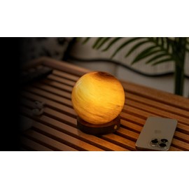 Gingko AstraGlass Lamp (Lamp), Walnut Wood and Glass, Mini, Sand Storm