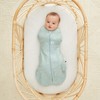 ergoPouch 1.0 TOG Cocoon Swaddle, Newborn Size – Sage Print