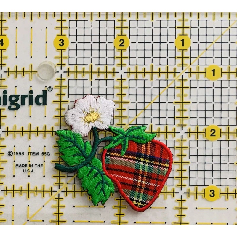 Strawberry Fruit Iron On Patch Embroidered New Berry