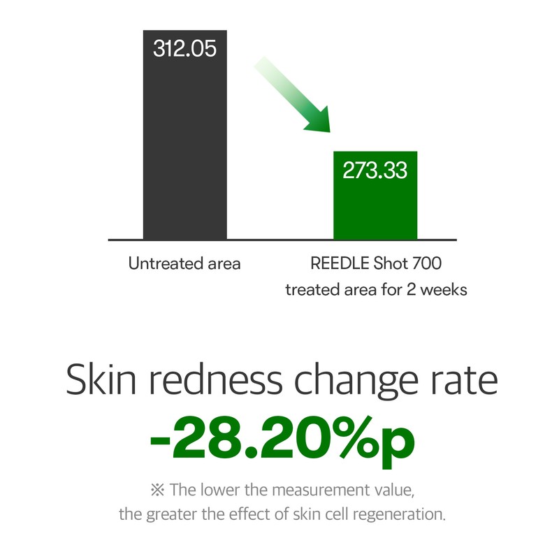 VT Cosmetics [VT Cosmetics]Reedle Shot 700