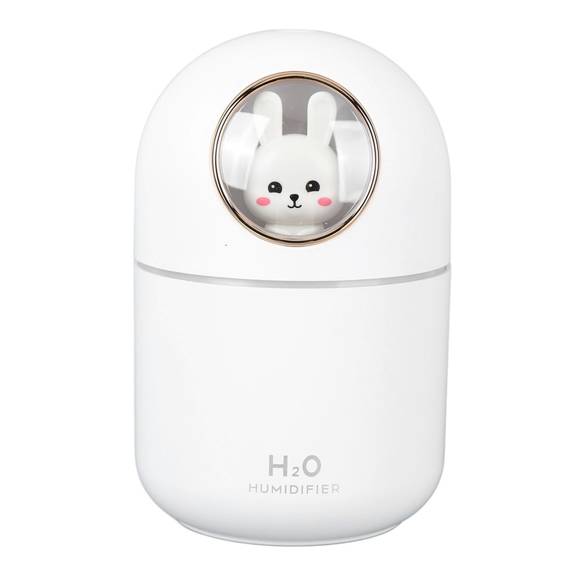 Humidifier Aroma Diffuser USB Power Supply 300ml Capacity Auto Shutdown
