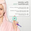 Rayz UV-C Toothbrush Sanitizer | Portable & Rechargeable | 99.9%
