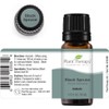 Plant Therapy Black Spruce Essential Oil 10 mL (1/3 oz)