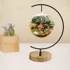 YY YEARCHY Awesomes Ornament Display Stand Indoor Metal Air Plant