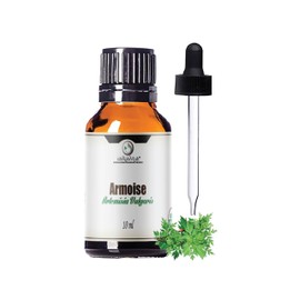 Organic Armoise Essential Oil | 10 ml | Artemisia Vulgaris | Steam Distilled from Leaves & Flowers | Camphoraceous Aroma | Natural Aromatherapy Oil | Pure & Undiluted | Middle Note | Nepal