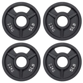 Fitvids Standard Cast Iron 1-Inch Weight Plate for Strength Training & Weightlifting, Multiple Weights Available, 5LB (Set of 4)