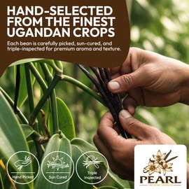 25 Organic Vanilla Beans, Premium Whole Grade A Pods for Homemade Vanilla Extract, Baking & Brewing, Non-GMO & Gluten-Free - Perfect Native Vanilla