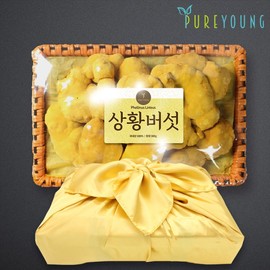 Domestic Sanghwang Mushroom 300g gift set / 국내산 상황버섯 300g 선물세트