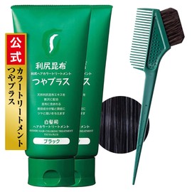Sastty Hair Color Treatment, For Gray Hair, Gloss Plus Black, 5.3 oz (150 g) x 2 Piece Set (For Color Care, Horse Hair Brush & Comb Included)