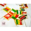 2 Pack African Shape Country Lapel Pin Badge + Flag
