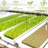 Voarge Rockwool Cultivation, Rockwool Cube, Rock Wool Insulation for Bottomless