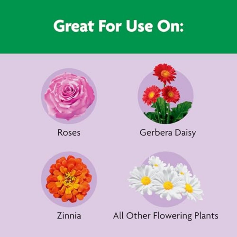 Miracle-Gro Shake 'N Feed Rose & Bloom Plant Food