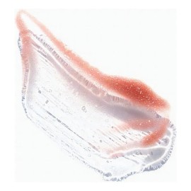 Lipgloss Con Mango Ere Perez Color Chili - Picante Desnudo