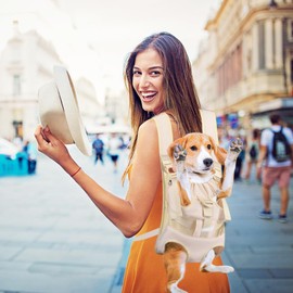 VanderHOME Dog Carrier Carrier Cat Sling Pet Bag for Pets, Striped, Prevents Popping Out, Piggy Strap, Free Both Hands, Comfortable, 2-Way Mesh, For Small Dogs/Cats, For Outings, Travel, Disaster