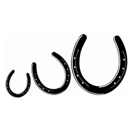3 x Horseshoe Stickers Car Sticker Car Decoration Glossy Black K040