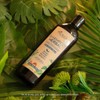 PACALLI Shampoo de Romero 2x410ml Rosemary Shampoo with Ginger Nettle