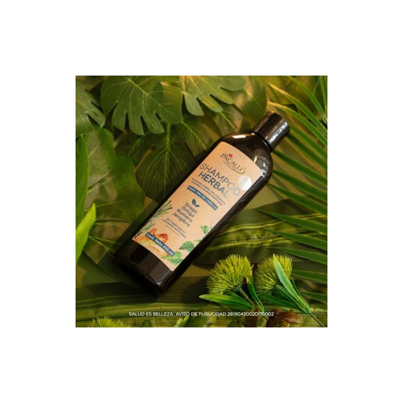PACALLI Shampoo de Romero 2x410ml Rosemary Shampoo with Ginger Nettle